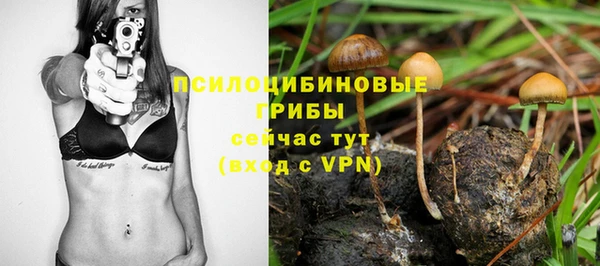 прущие крисы Лагань